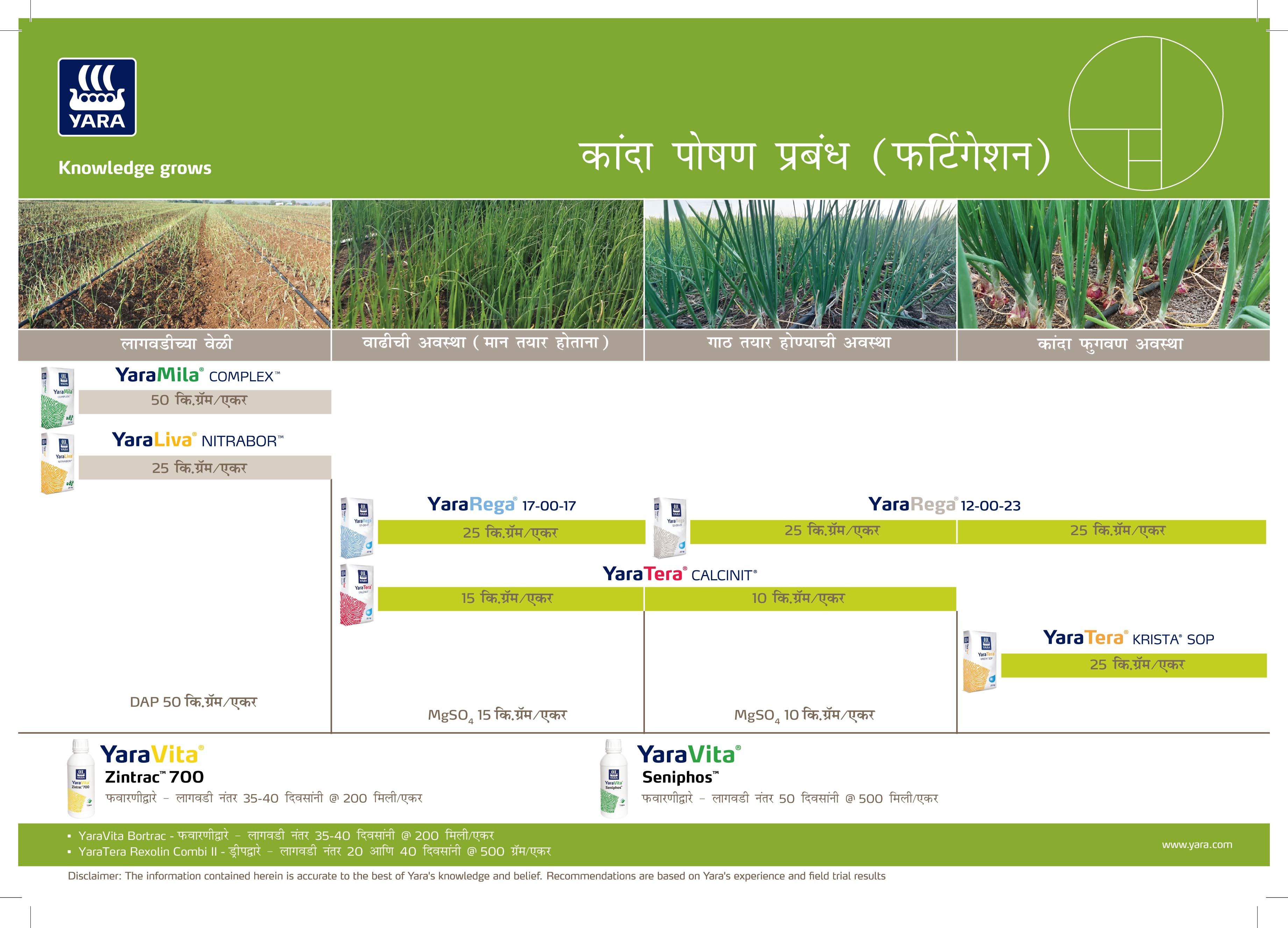 Onion Crop Nutrition Plan - Fertigation