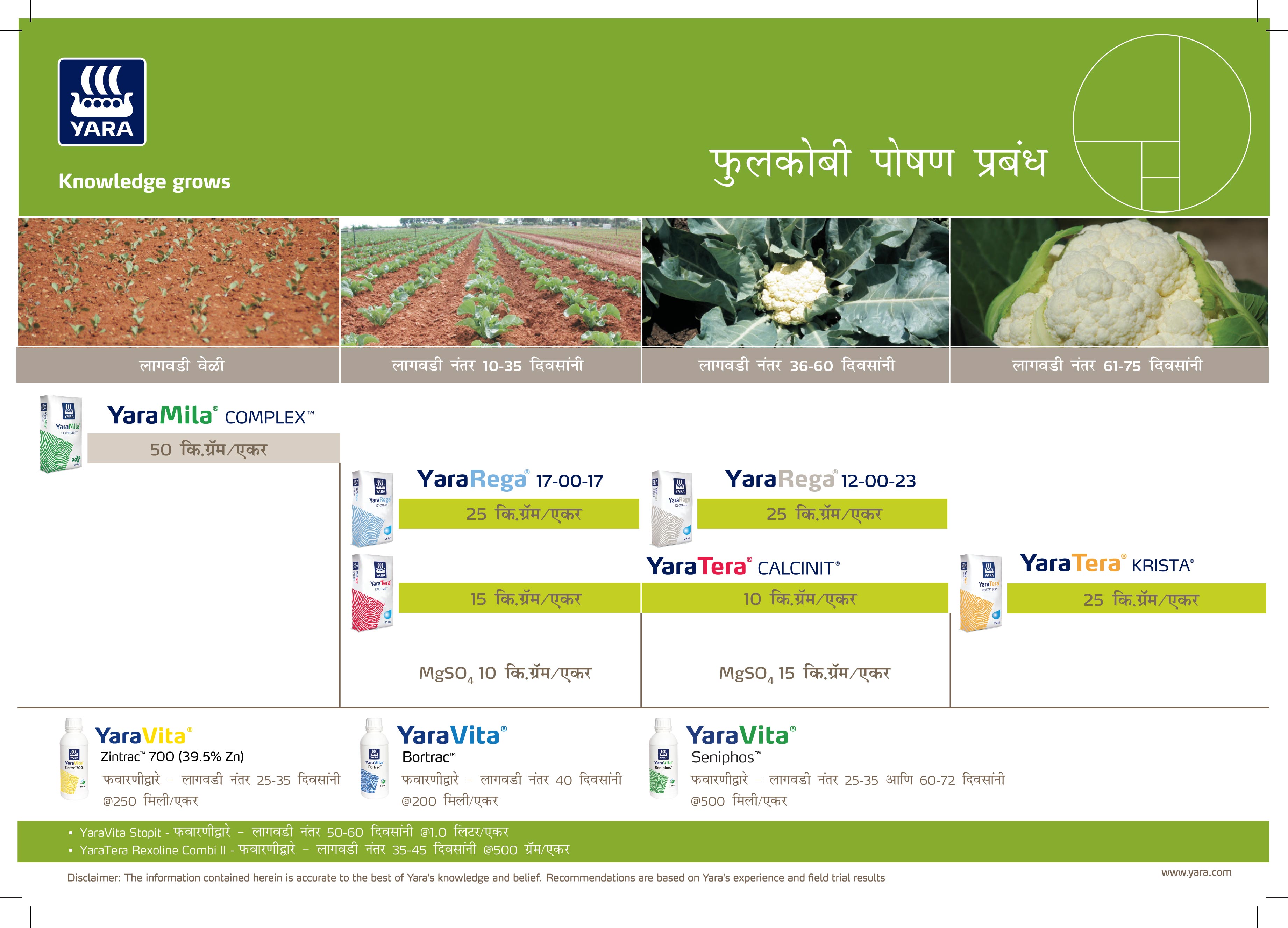 Cauliflower Crop Nutrition Plan (Maharashtra)