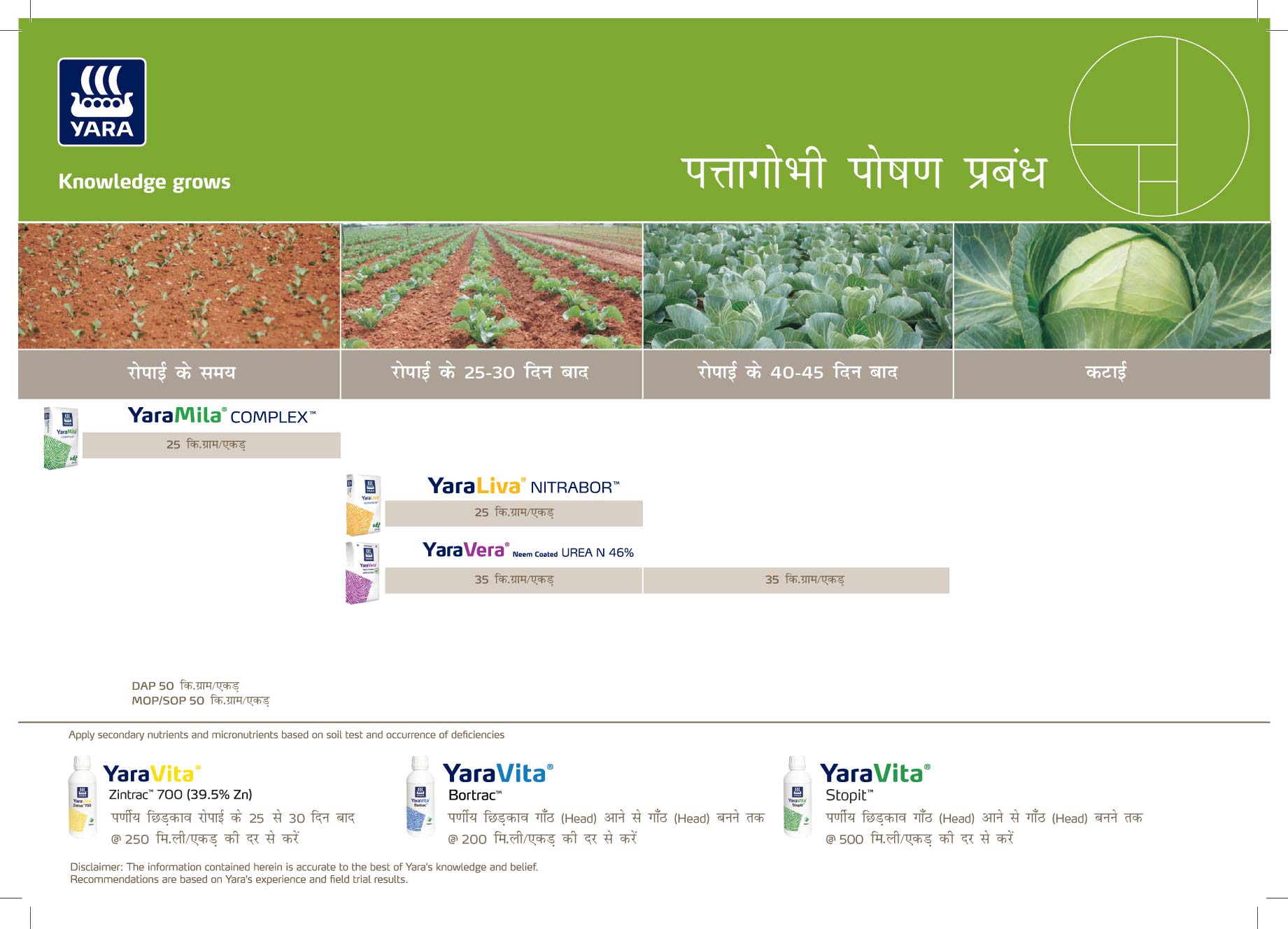 Cabbage Crop plan_29-01-2026_Bihar-01
