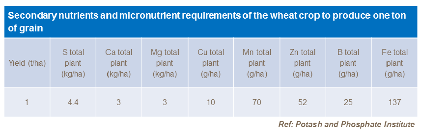 Micronutrient uptake in winter wheat