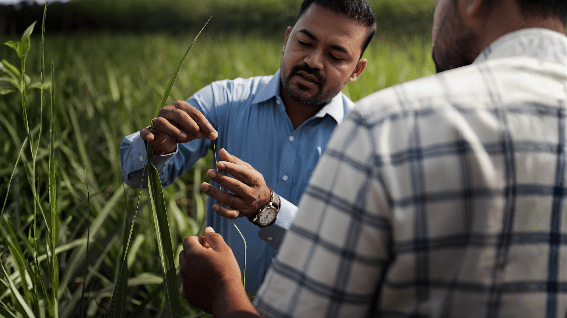 Sustainability Report