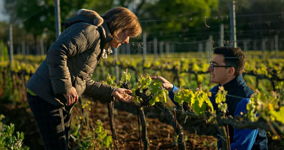 Knowledge grows Stories