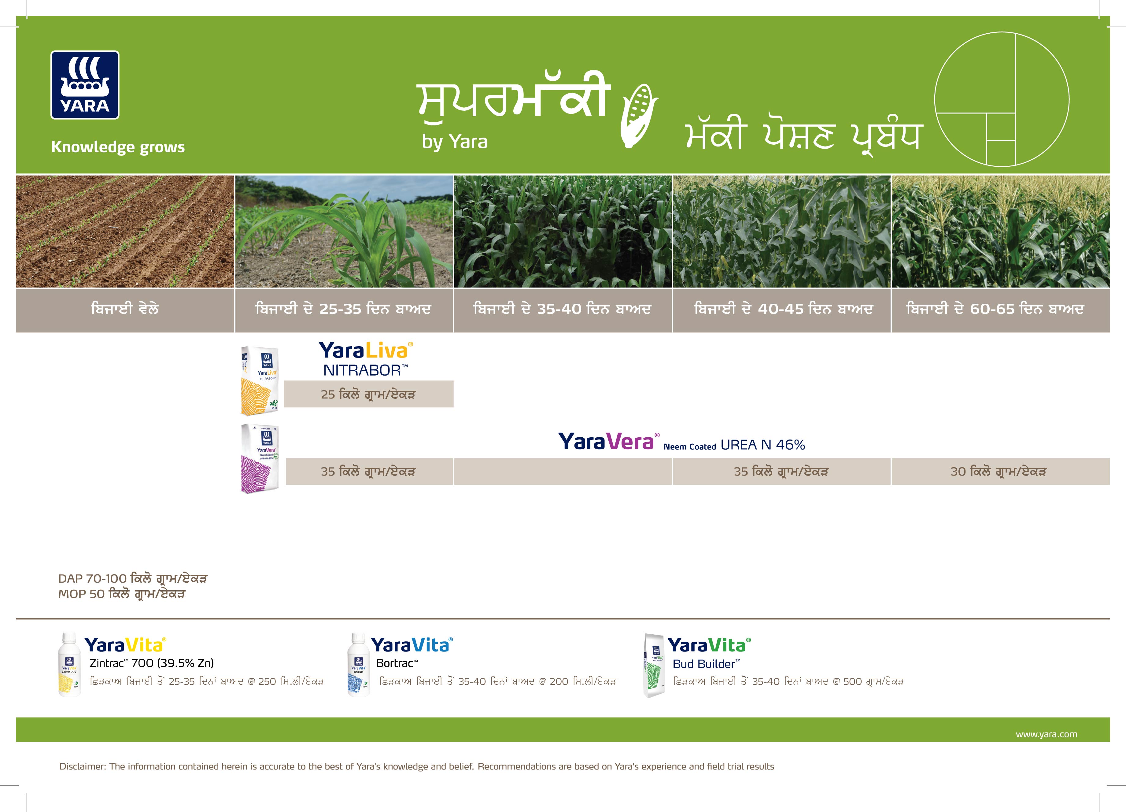 Maize & Silage Maize Crop Plan -16-01-2026_Punjabi-01.jpg	