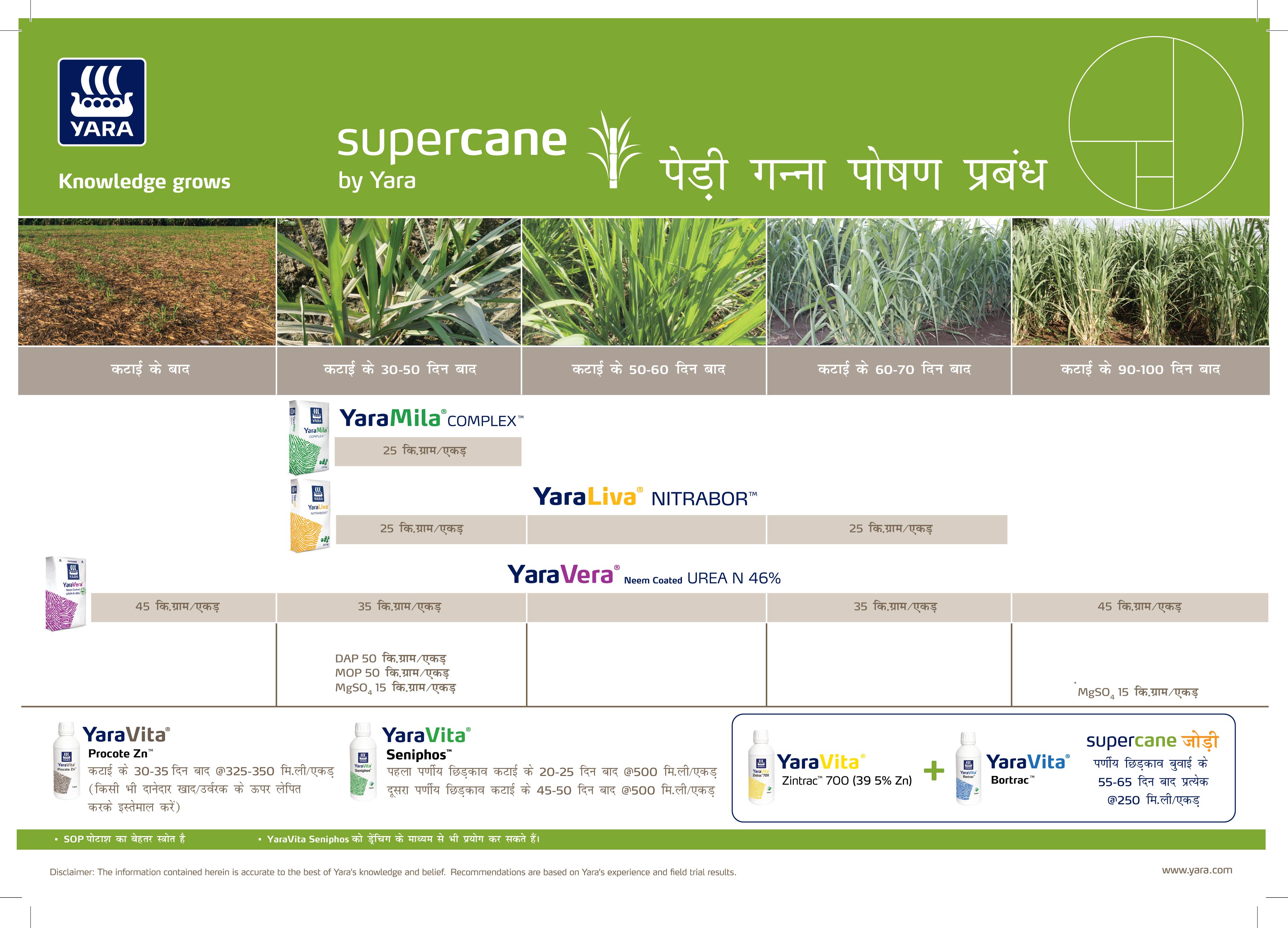 Sugarcane Crop Plan - Hindi_13-01-2025-02.jpg