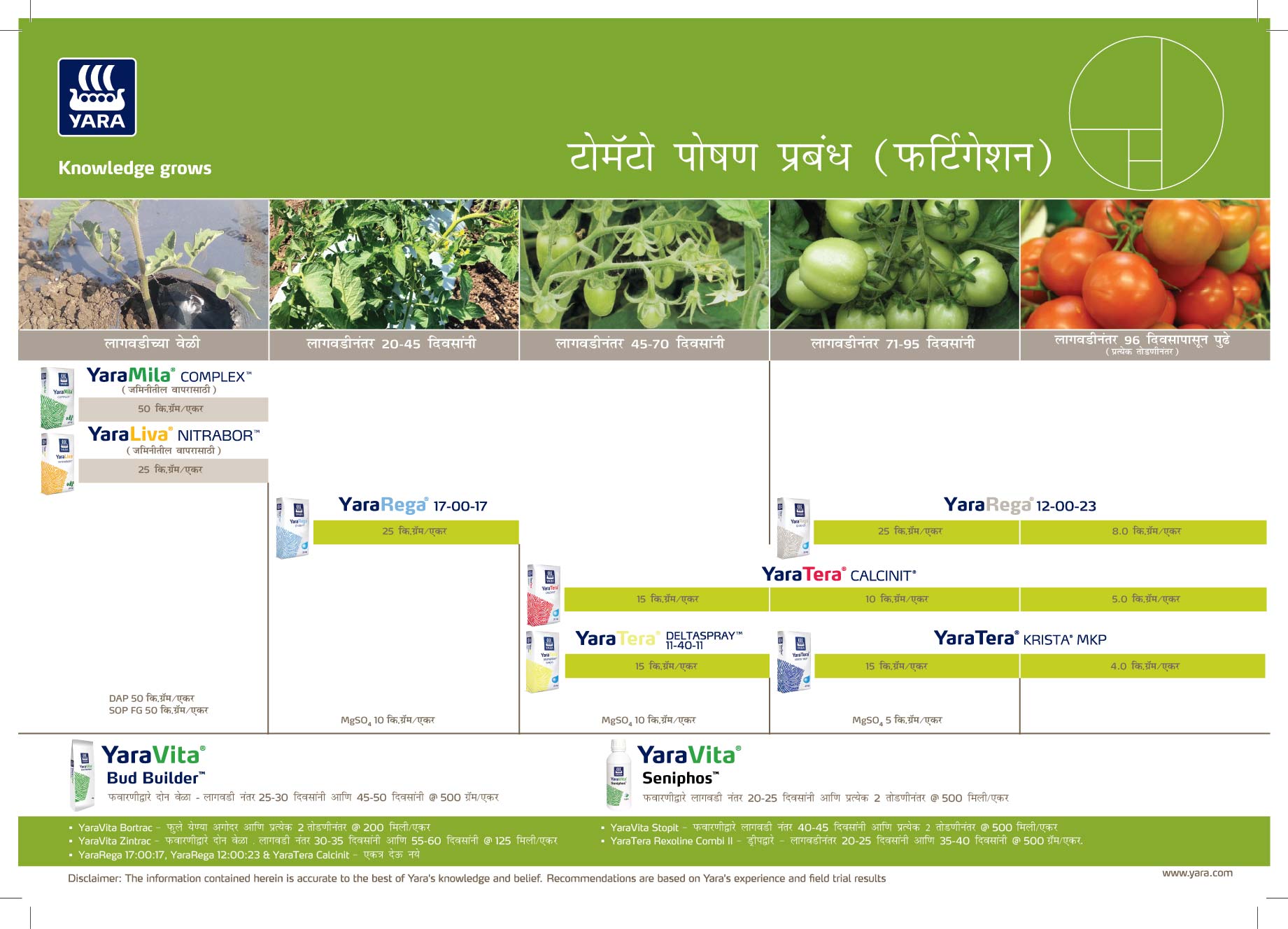 Tomato Crop Nutrition Plan (Maharashtra)