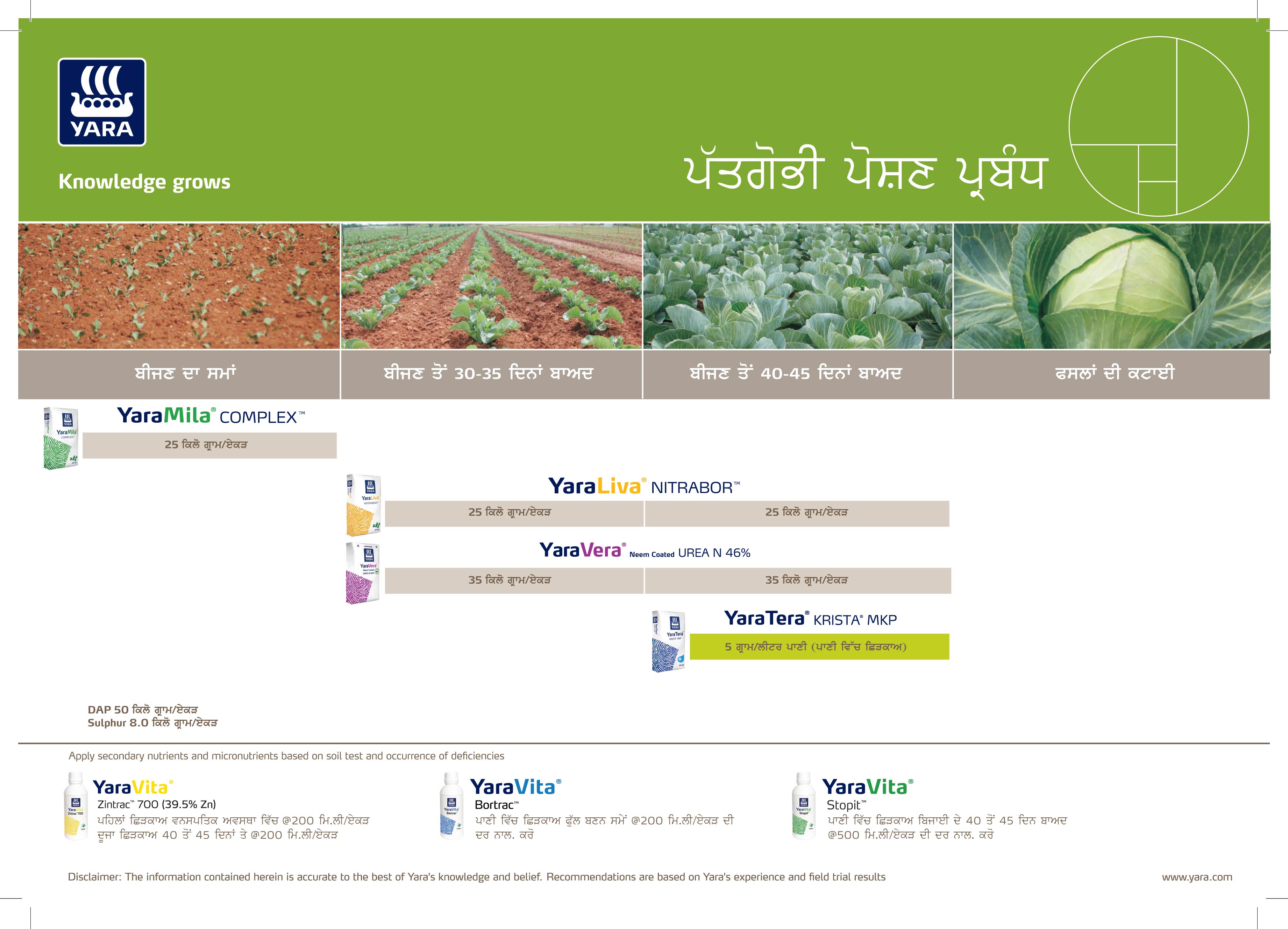 Cauliflower & Cabbage Crop Plan - Punjabi_30-01-2025-02