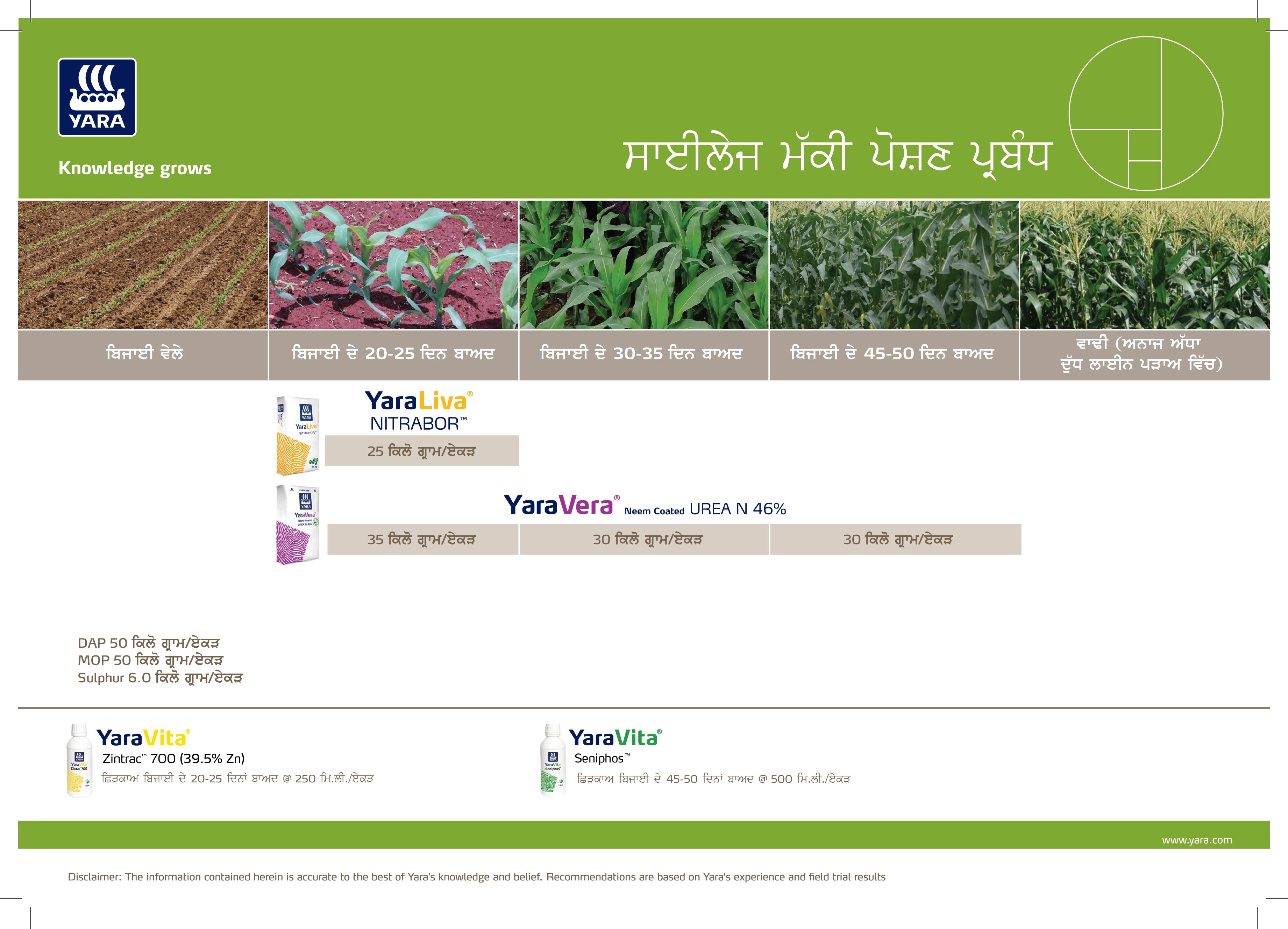 Maize & Silage Maize Crop Plan -16-01-2026_Punjabi-02.jpg