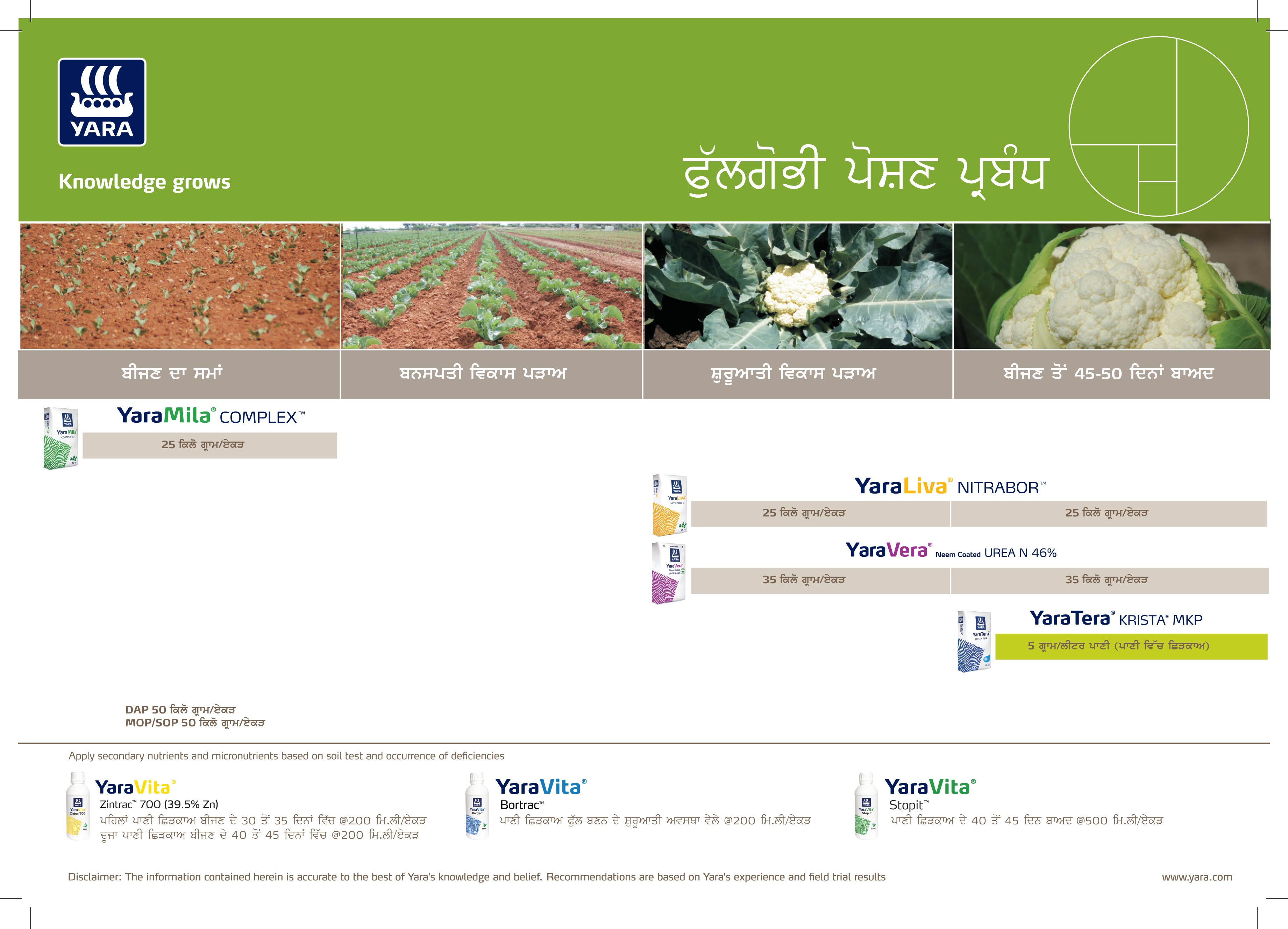 Cauliflower & Cabbage Crop Plan - Punjabi_30-01-2025-01
