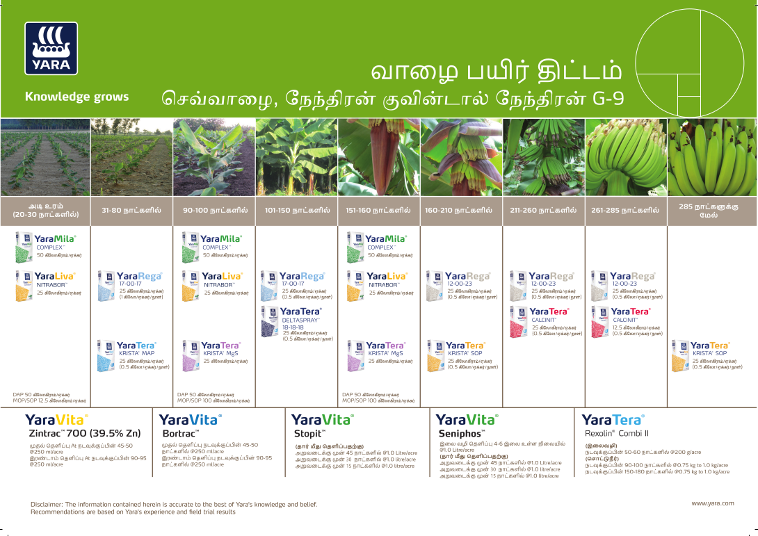banana-yaraRega-crop-plan -Tamil_10-08-2023