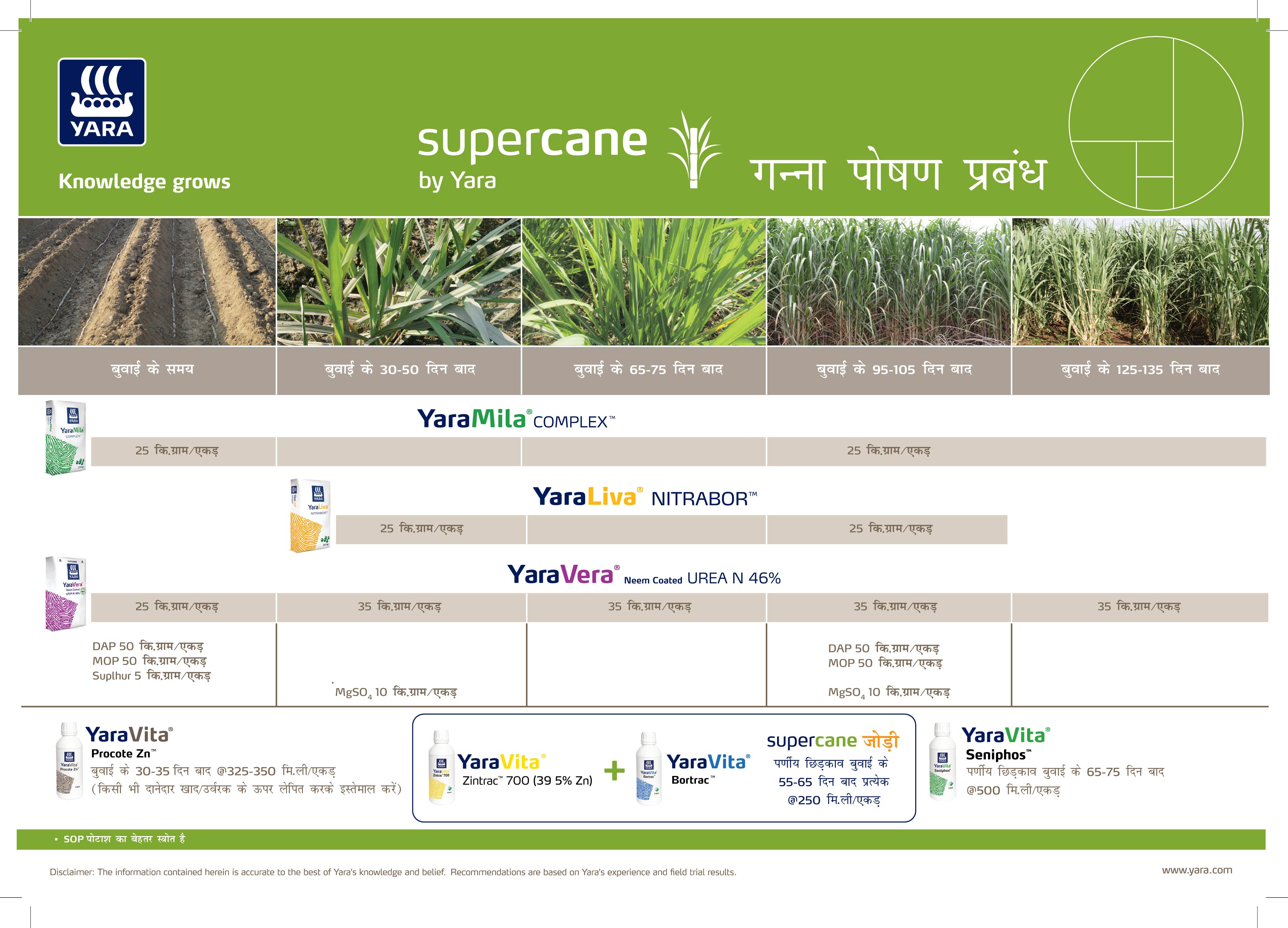 Sugarcane Crop Plan - Hindi_13-01-2025-0