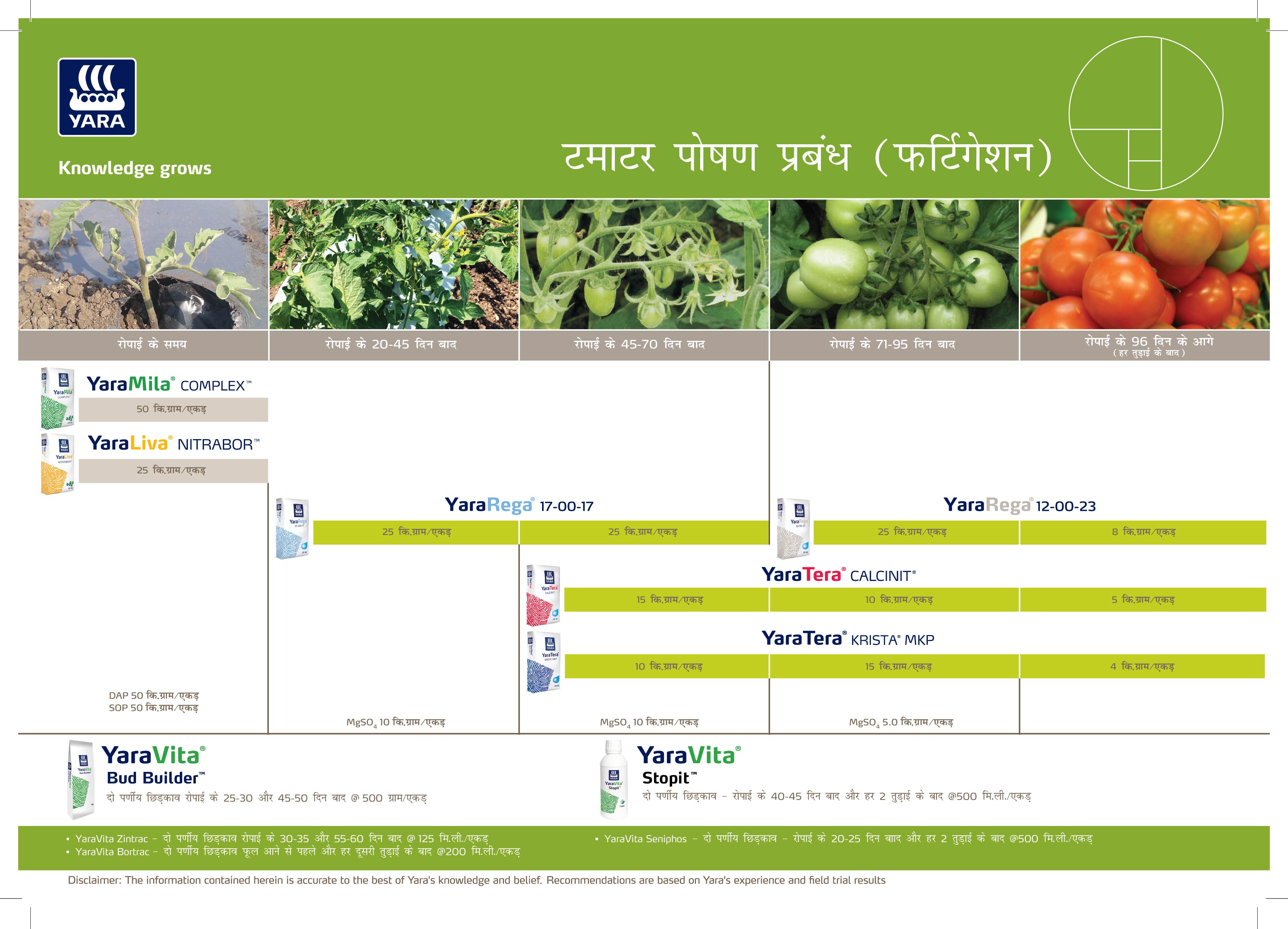 Tomato crop nutrition  Madhya Pradesh