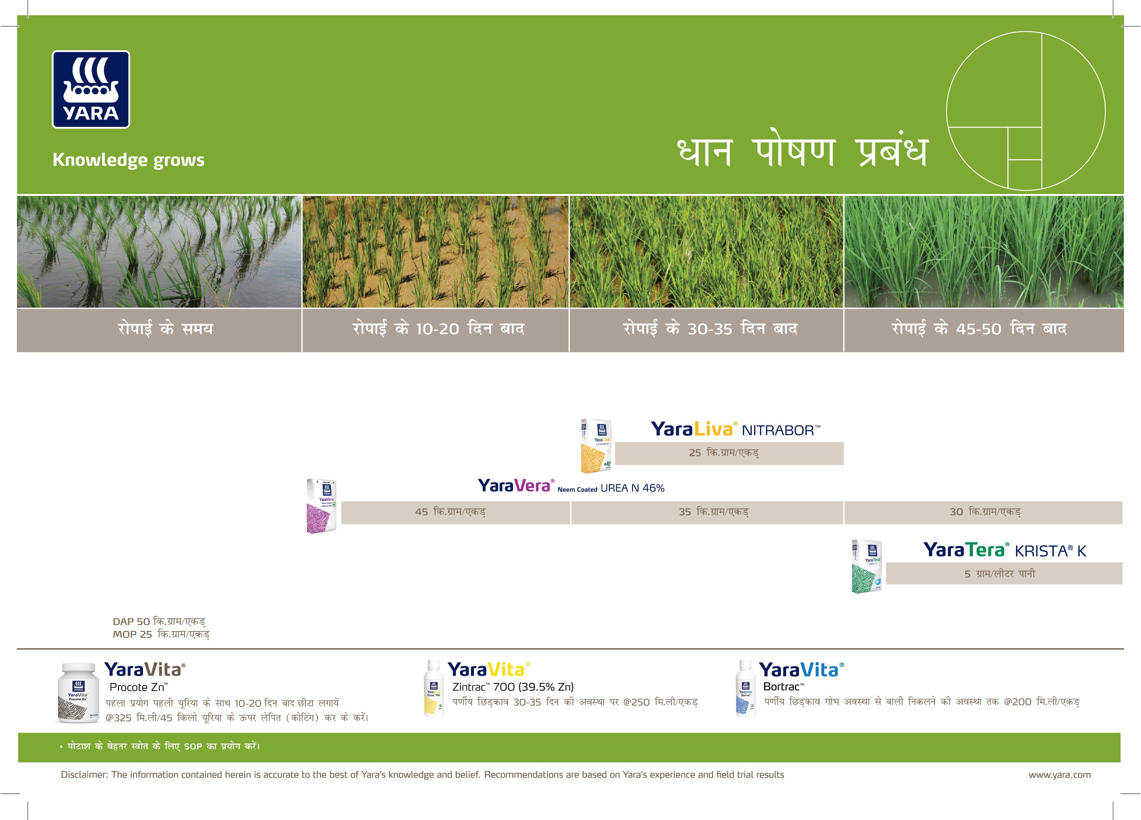 Paddy Crop Plan (Normal & Basmati)_Hindi_10-04-2025_UP-01.jpg