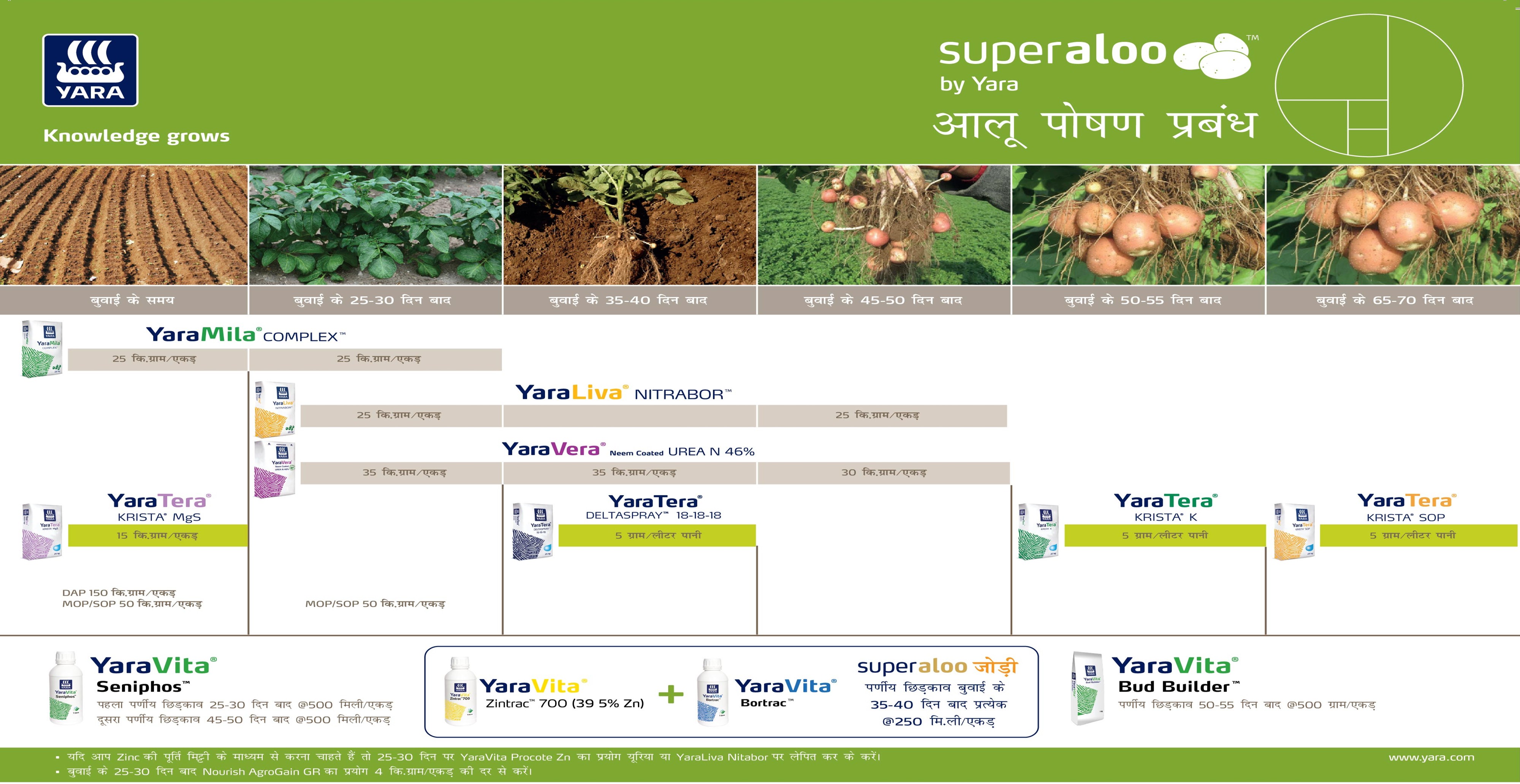Potato Crop Nutrition Plan