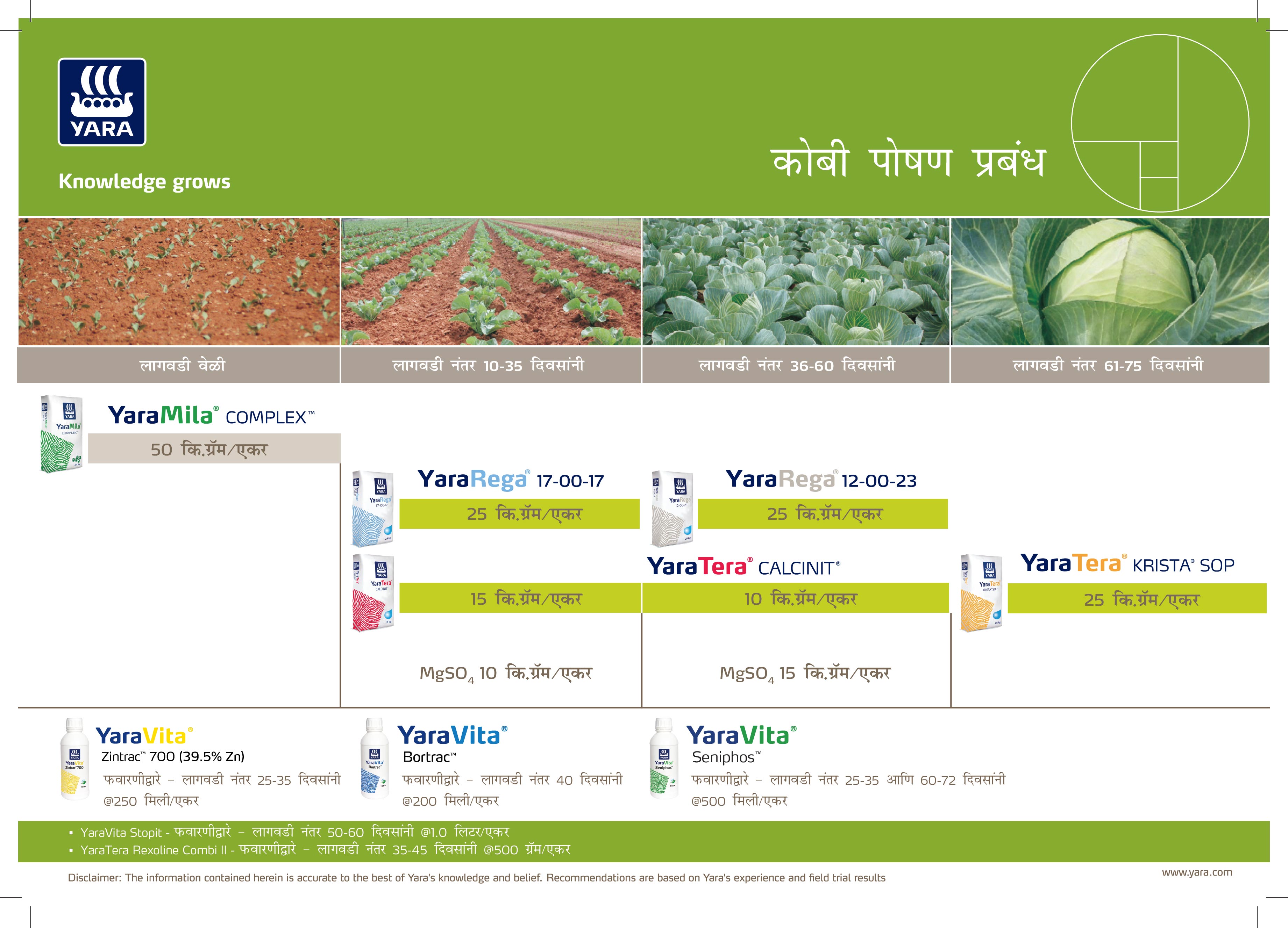 Cabbage Crop plan_16-01-2025_Marathi-01.jpg