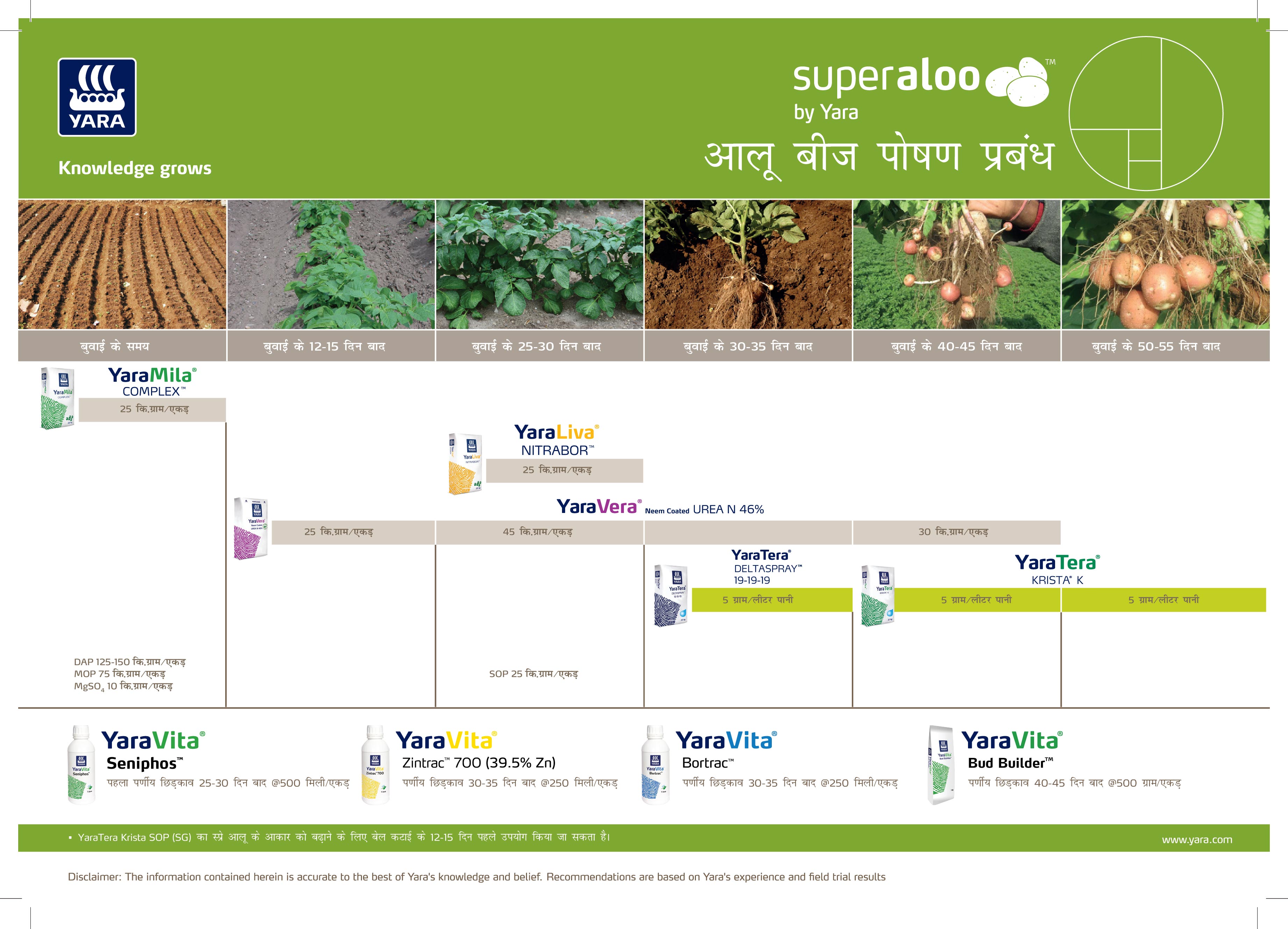 Potato Crop Nutrition Plan (Haryana)