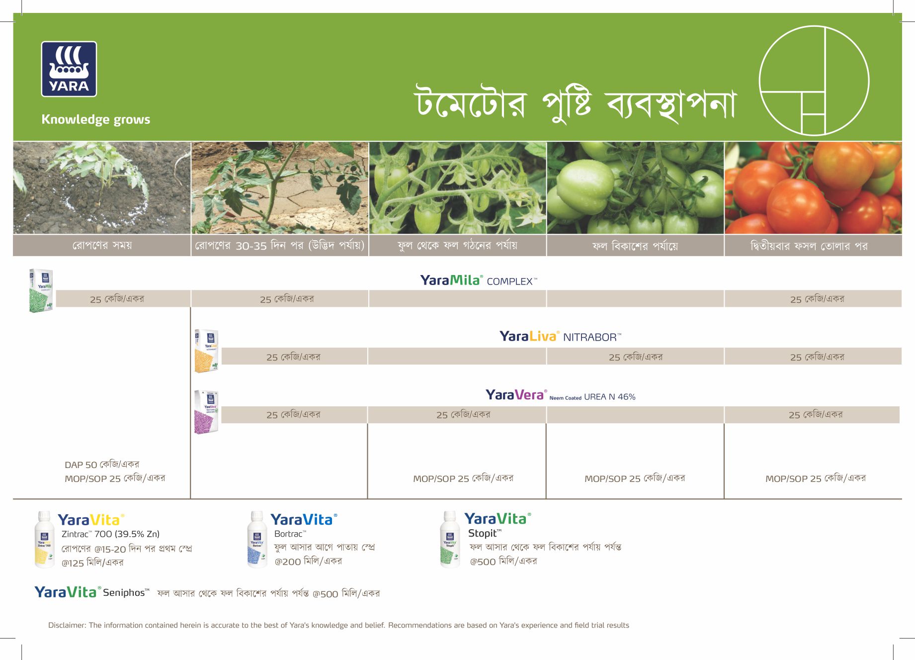7_Tomato Crop Plan -Bengali_07.02.2026 b.jpg