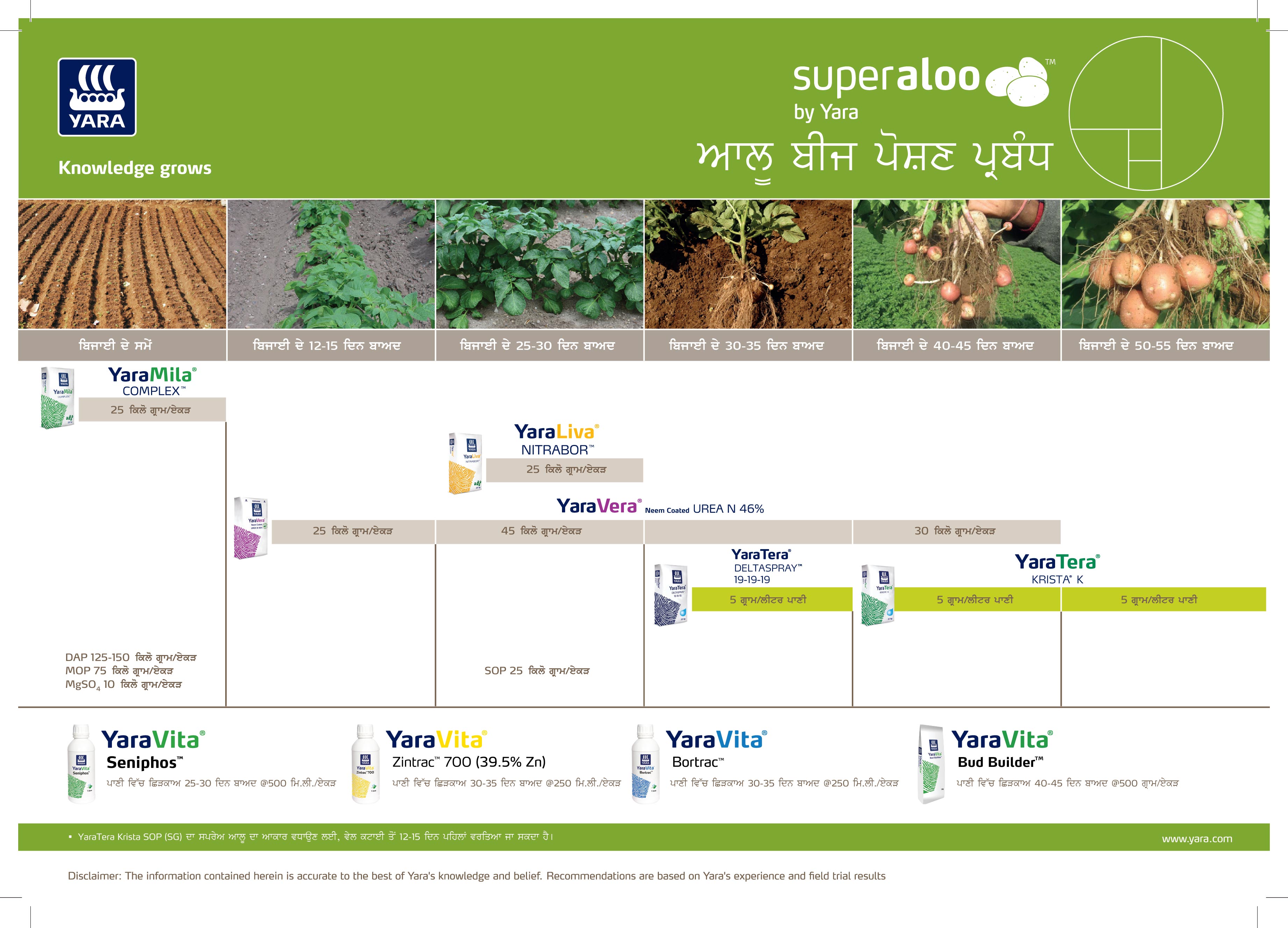 Potato Crop Nutrition Plan (Punjab)