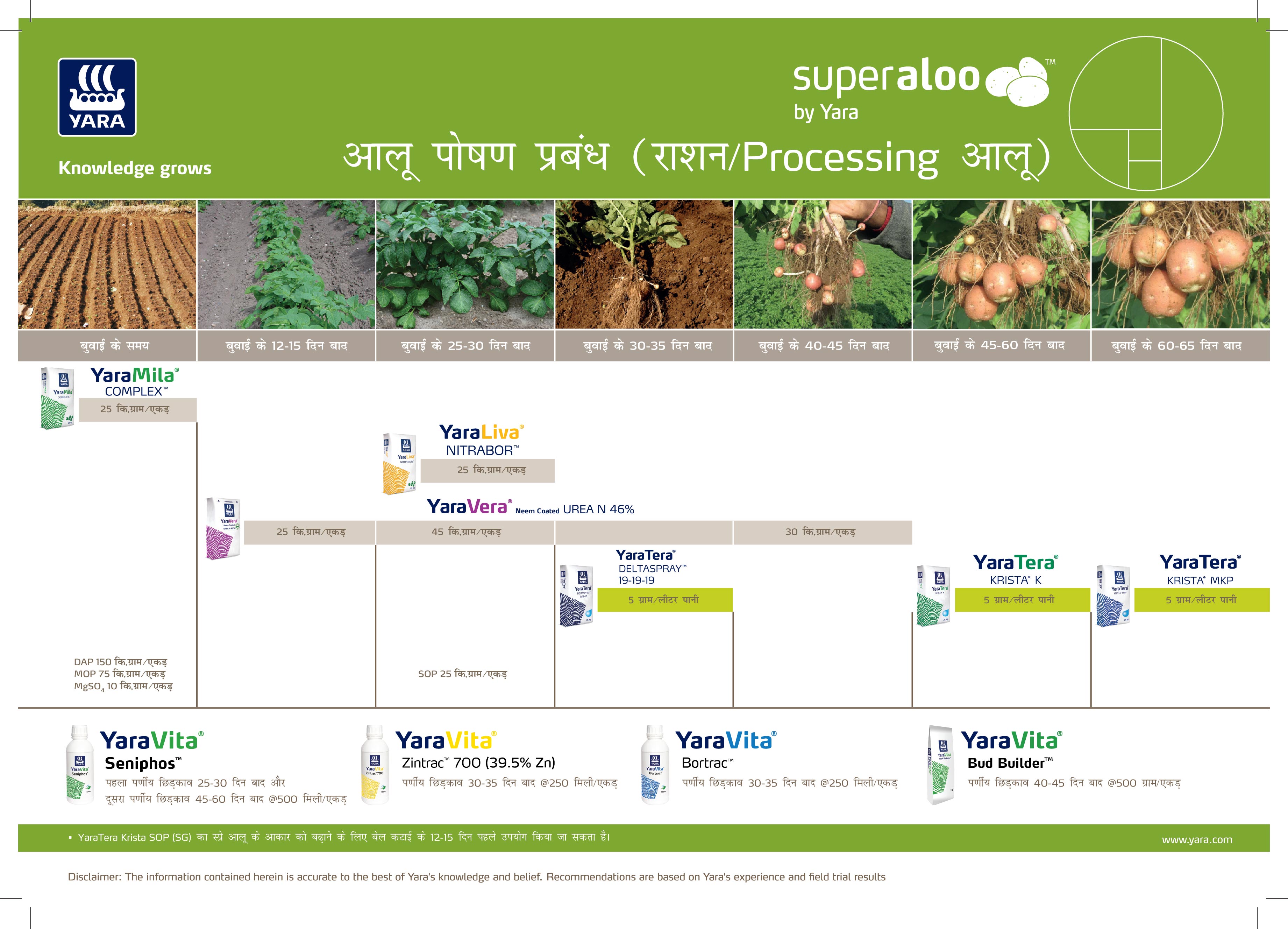 Haryana potato crop nutrition programmes