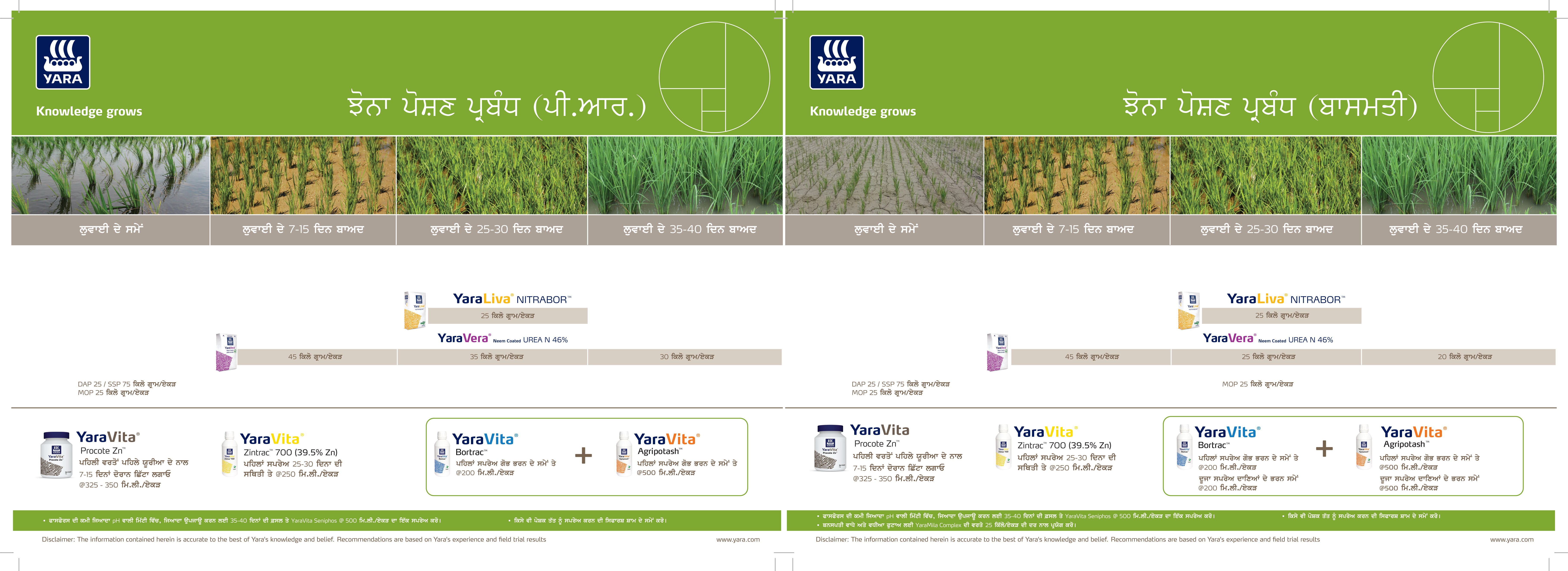Paddy Crop Plan (PR  Basmati)_Punjabi.jpg