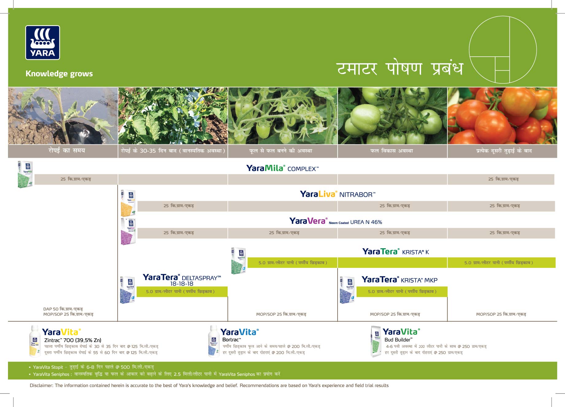 Tomato Crop Nutrition Plan (Haryana)