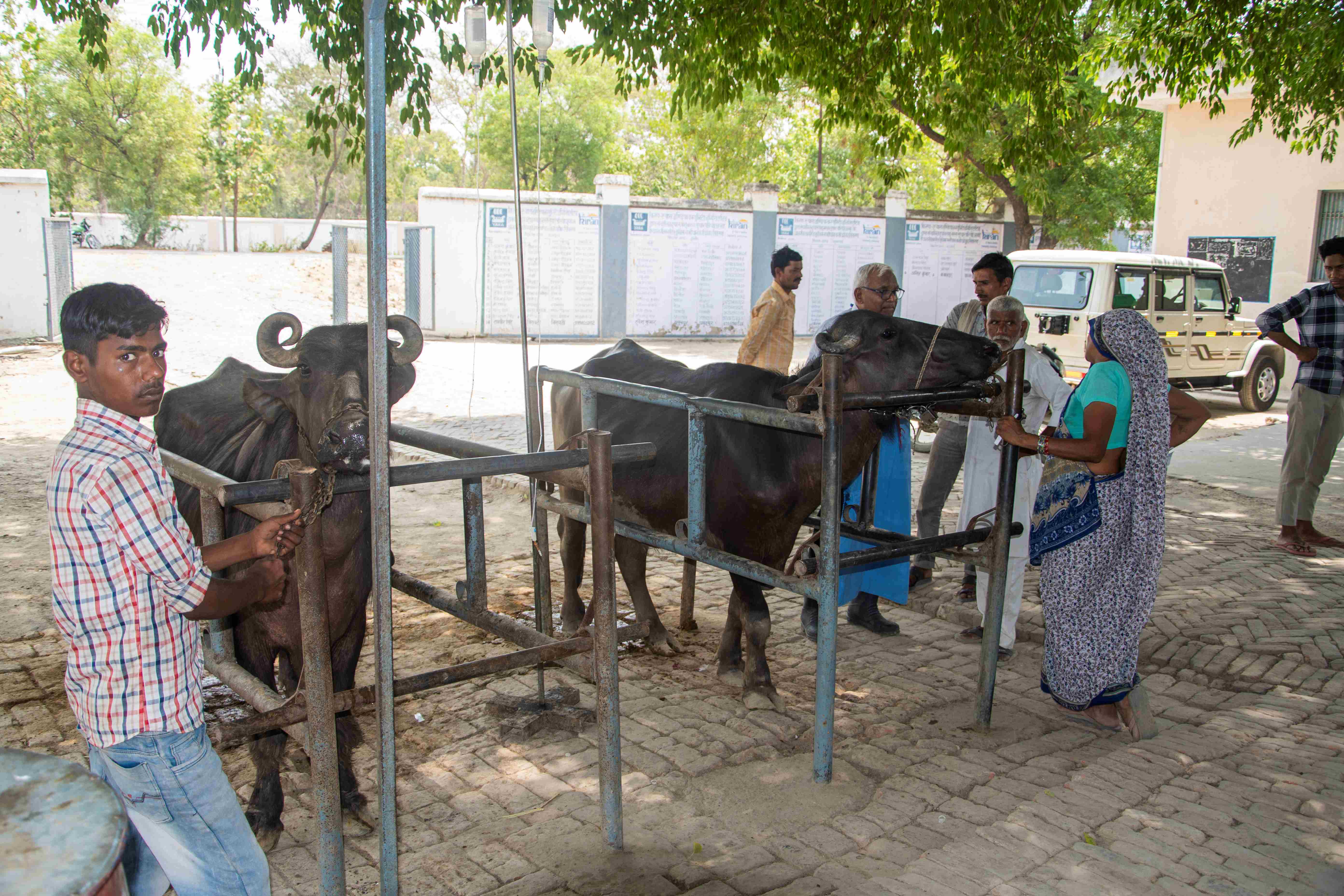 Animal-Husbandry