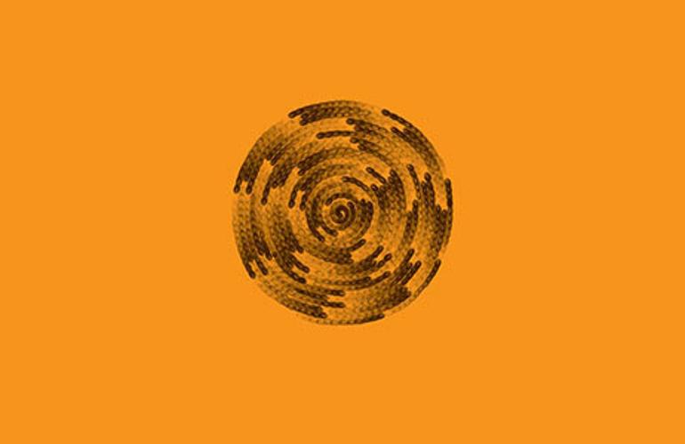 crop-orange