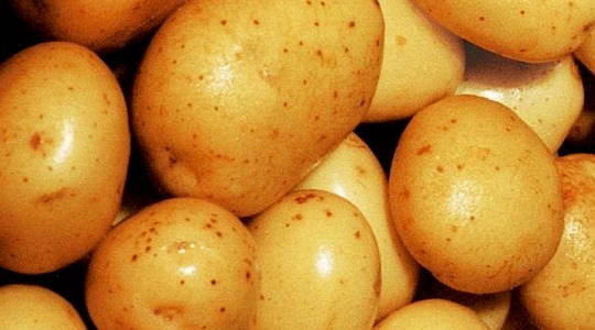 improve-potato